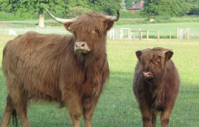 Washbrooks Family Farm