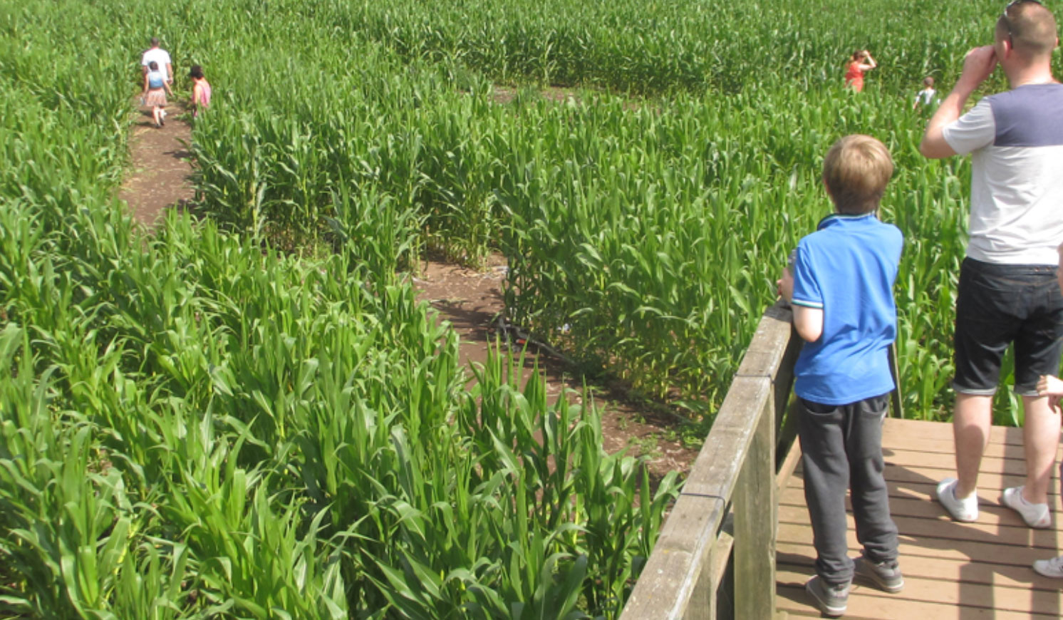 Cairnie Fruit Farm & Mega Maze