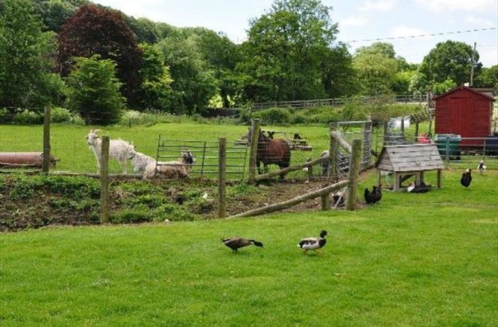 New Mills Farm Park