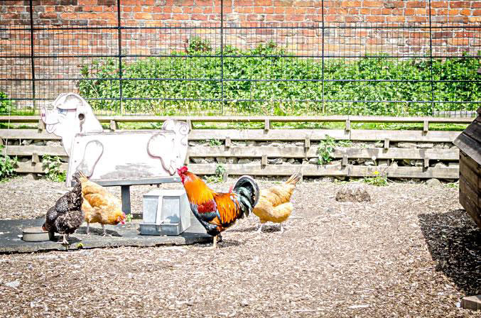 Heaton Park Farm Centre