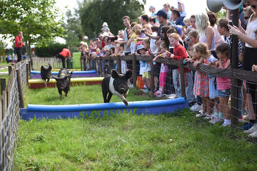 Avon Valley Adventure & Wildlife Park