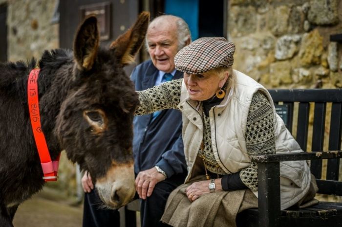 The Donkey Sanctuary