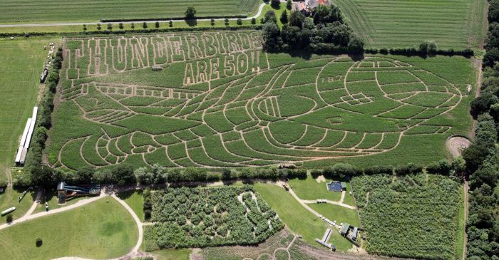 York Maze