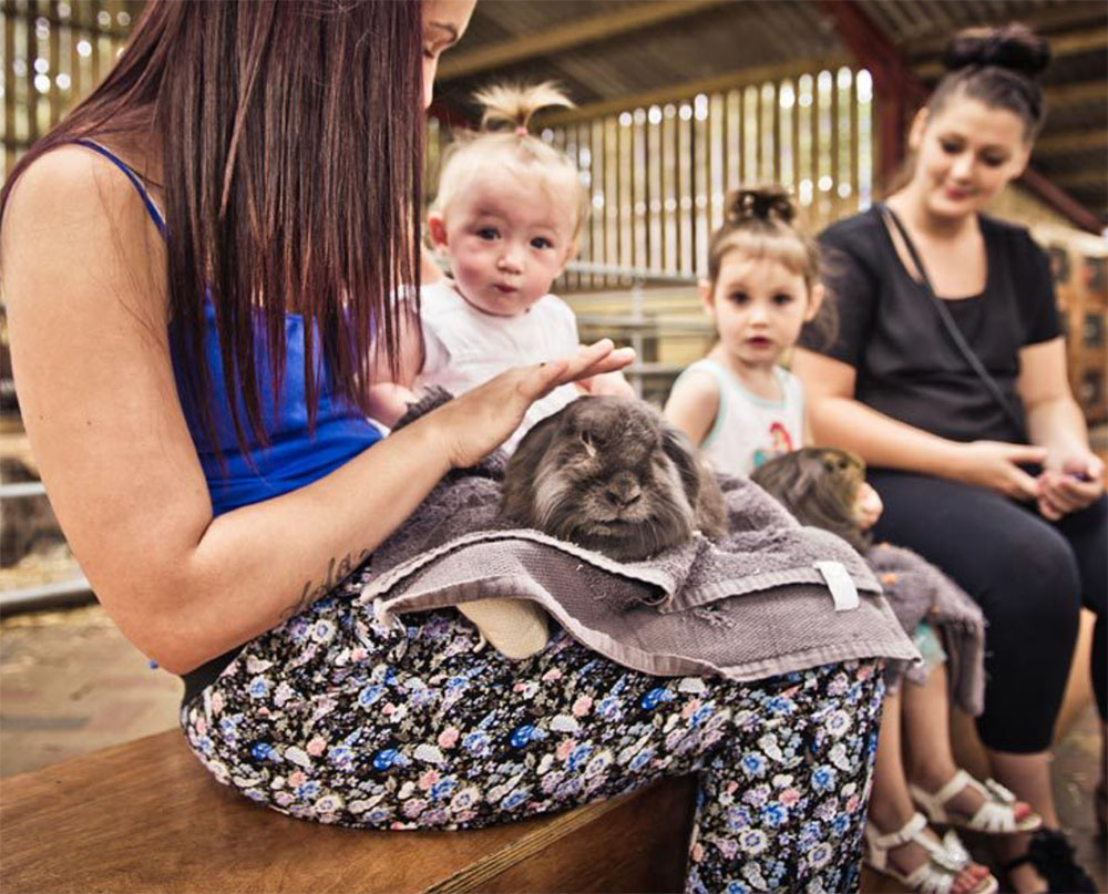 Cefn Mably Farm Park