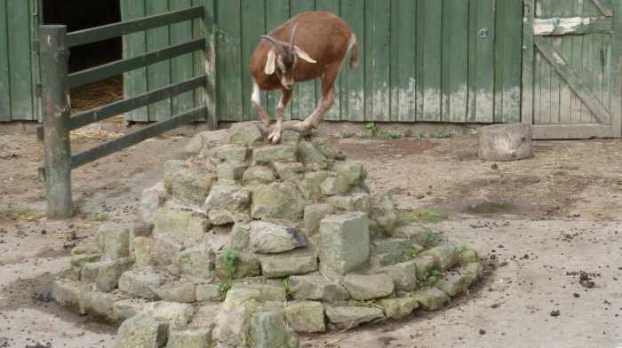Meanwood Valley Urban Farm