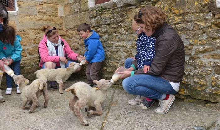 Abbotsbury Children's Farm