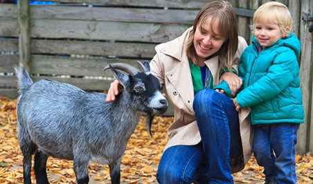 Hogshaw Farm & Wildlife Park