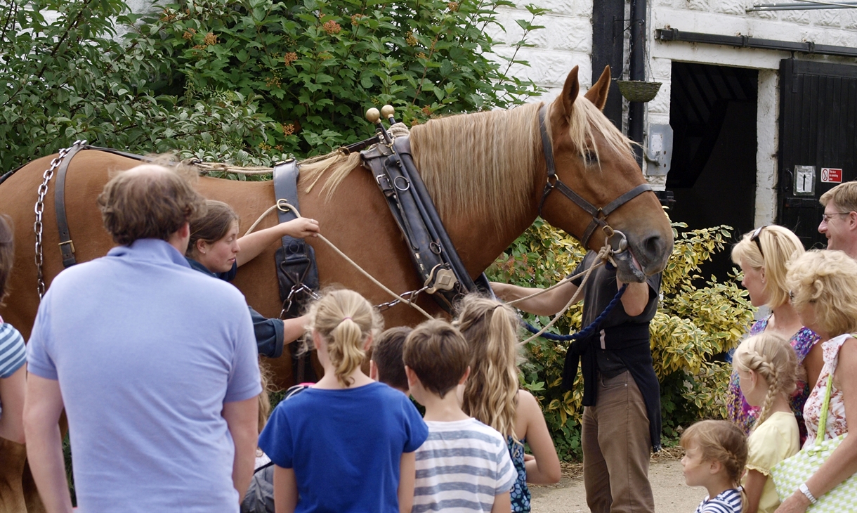 The Suffolk Punch Trust