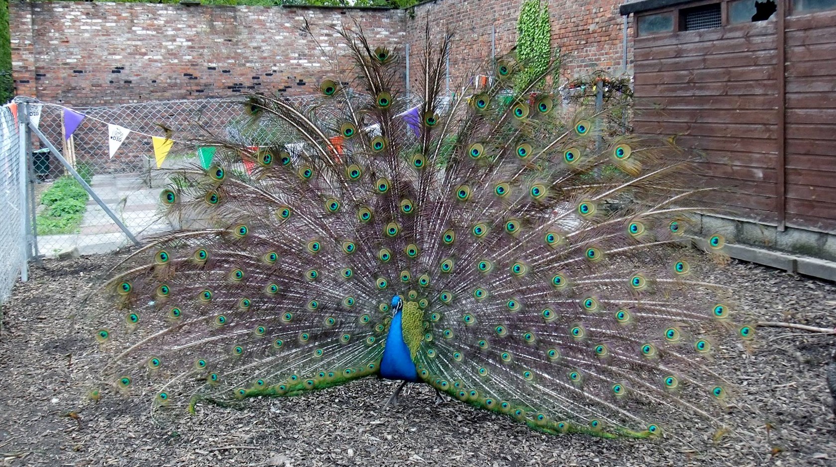 Wythenshawe Park Farm