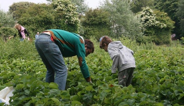 Sharnfold Farm