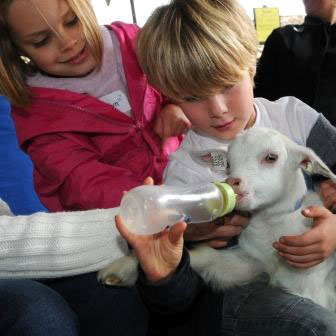 Farmer Gows Activity Farm