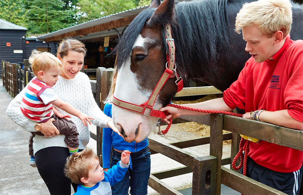 Chatsworth House & Farmyard