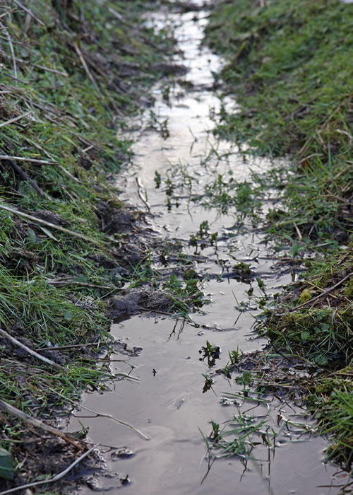 Care should be taken to avoid spreading manure too close to a water source.