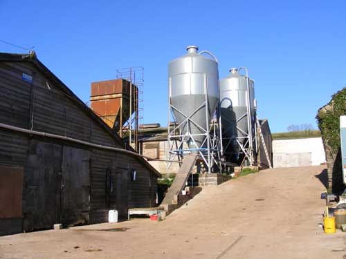 Converted Harlow houses showing the egg conveyor linking the two houses