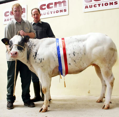 Jack Wallbank with his Skipton British Blue champion, joined by judge Joe Throup, right