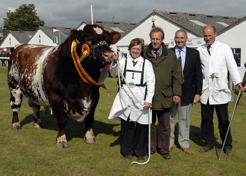 2008 Supreme Beef Champion Cairnsmore Thrasher with (L-R) Carol Rettie, Mark Holmes (owner), breed secretary Frank Milner and Richard Rettie