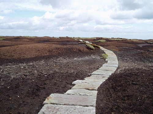 Before - Black Hill 08