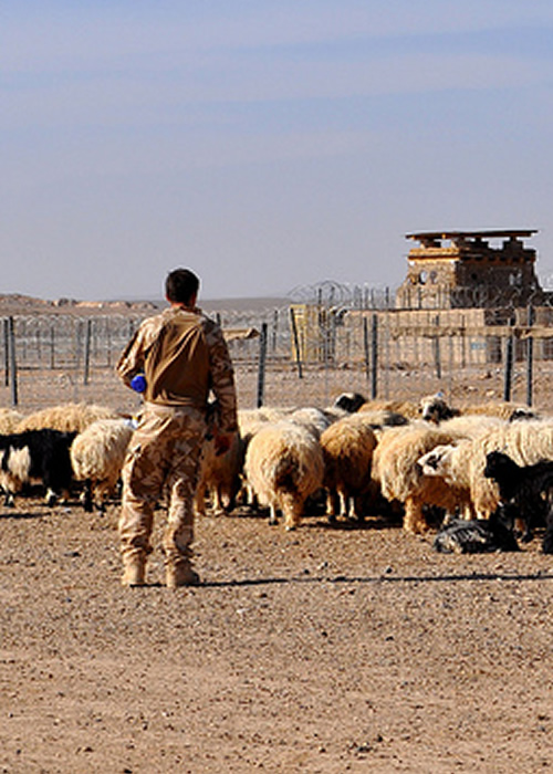 Captain Miles Malone - Pioneering Vet clinic in Taliban country