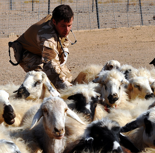Captain Miles Malone - Pioneering Vet clinic in Taliban country
