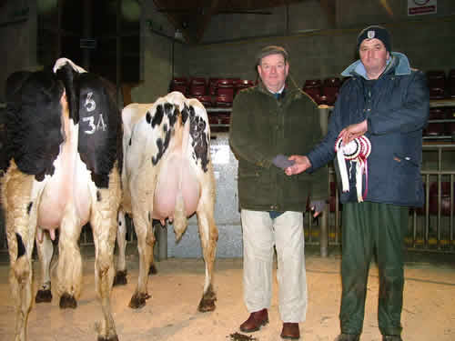 David Lawson (right, holding rosettes) and judge Wick Williams, with the Craven Dairy Auction Champion (far left) and Reserve Champion