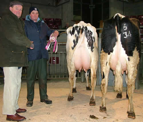 Judge Wick Williams, from Nantwich with double winner David Lawson and the Champion and Reserve pedigree Holstein-Friesians
