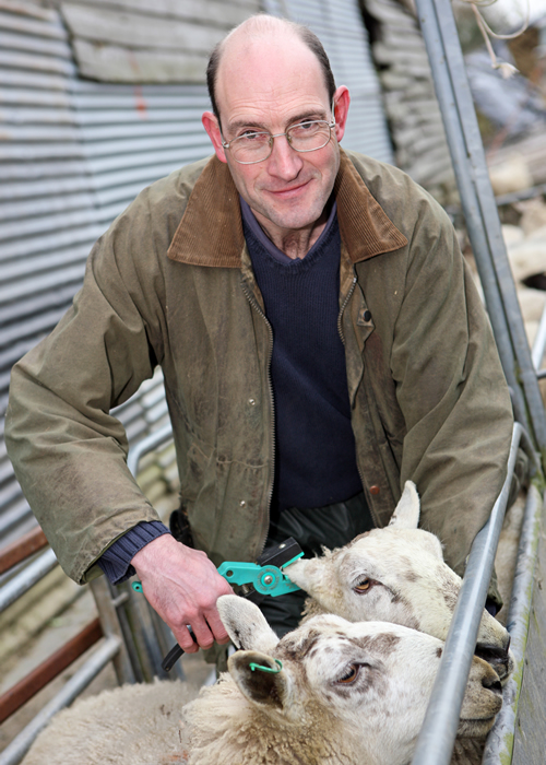 Coping with new recording legislation in English and Welsh sheep flocks