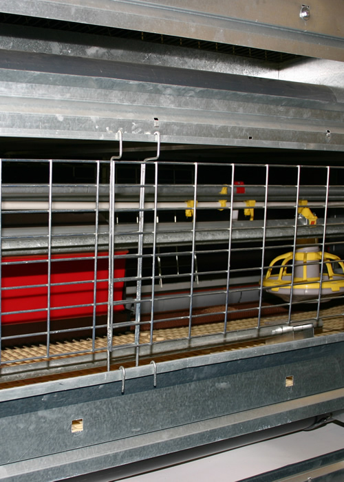 Eggs from welfare-friendly cages and free range systems are no more likely to have instances of salmonella than eggs from caged systems