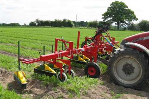 Multi head, 3-bed Micron Varidome working in carrots