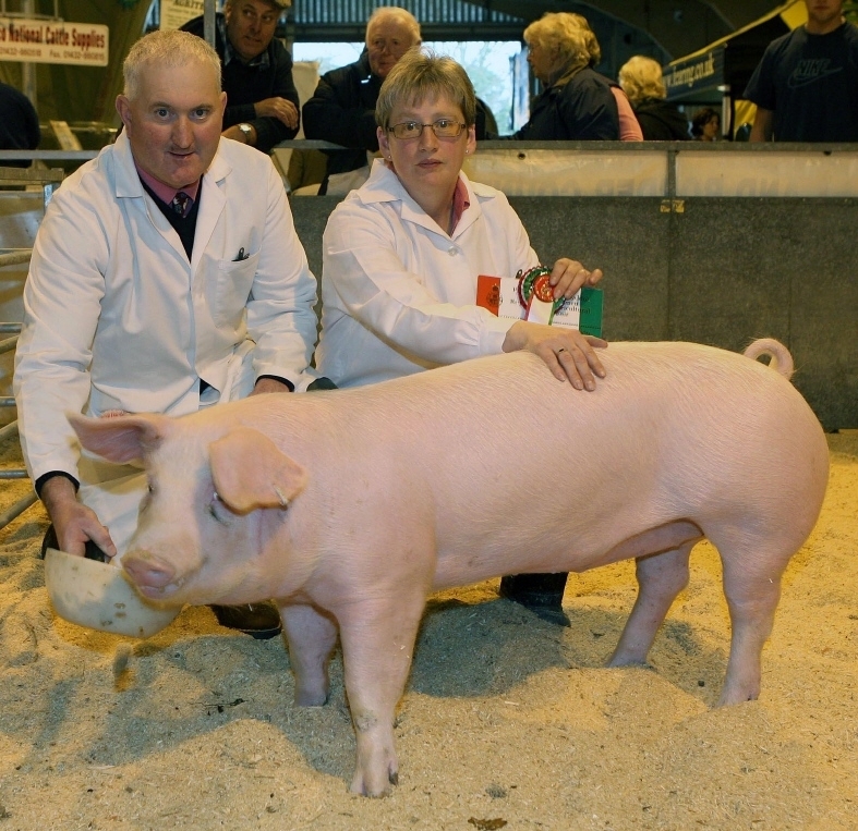 Joyce and Gerallt with one of their Welsh pigs which won the class for a pork pig 55kg to 65 kg and then went on to win the overall supreme single champion at the 2007 Royal Welsh Winter Fair. 