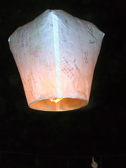 MEP urges Europe wide Chinese lantern ban FarmingUK News