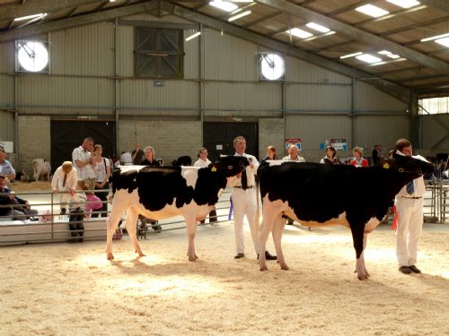 Hydor HV fnas provide welcome cooling in the showground
