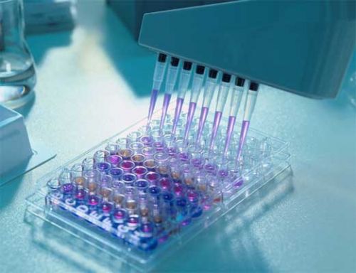 ELISA test at ISPAH