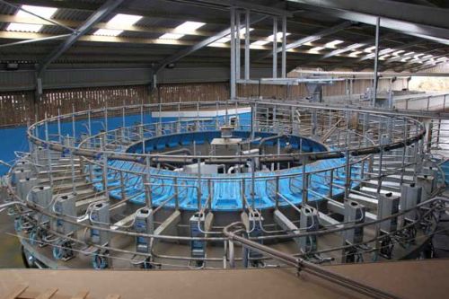 EIB Dairy Investment