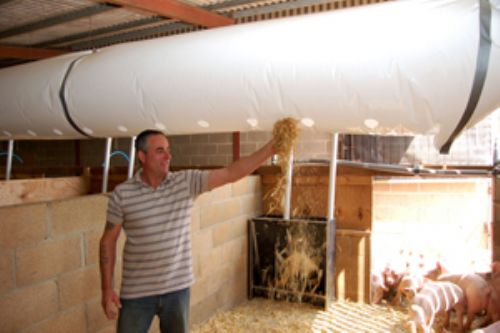 Perforations in the ducting direct air straight down on to the pigs, demonstrated here by Derek Buckmaster.