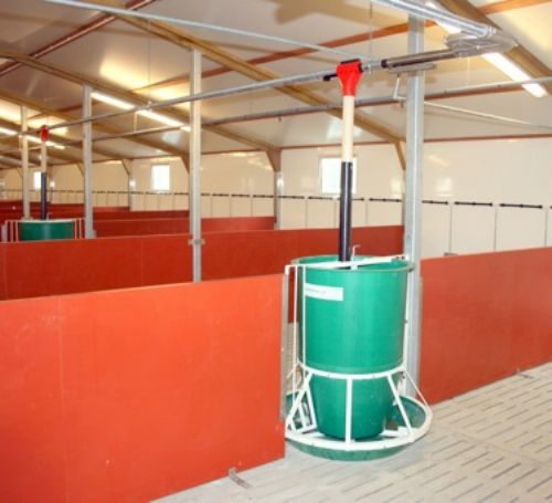Big Wheel pig feeders which are being distributed by ARM Buildings.