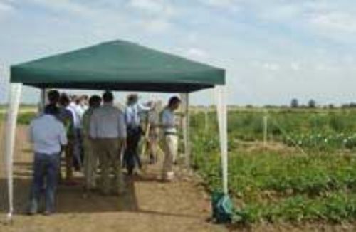 East Midlands Potato Day