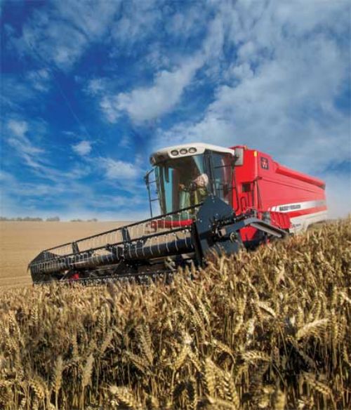 MF 7360 BETA
