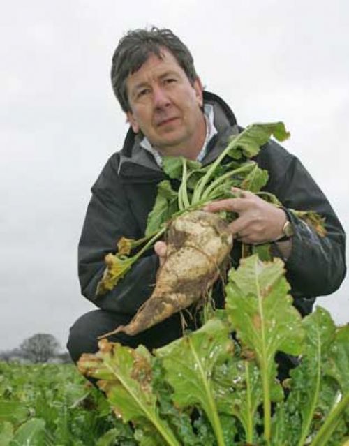 Richard Palmer and sugar beet