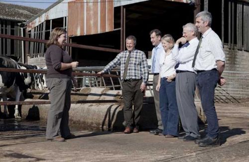 Morrisons Focus Farm Event