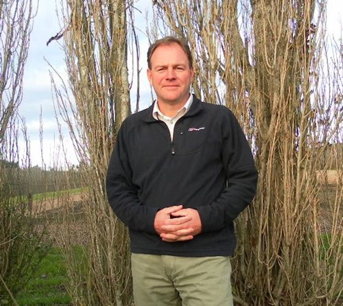 Mark Prynne