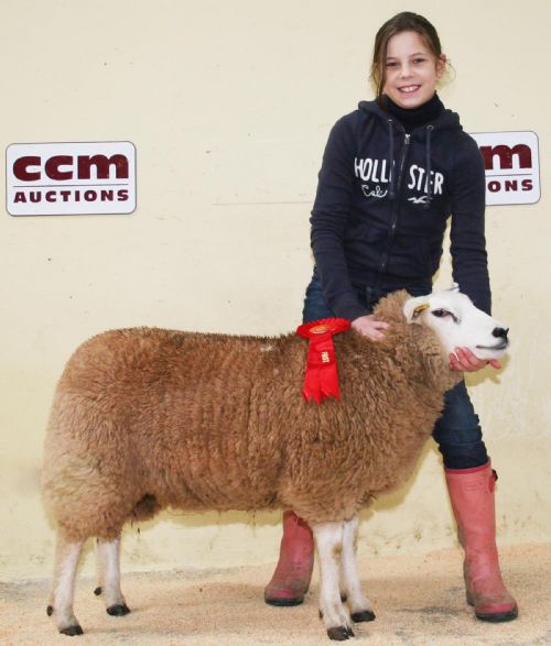Clara Payne, 12, a pupil at Sheffield High School, with the 2011 Skipton Winter Texel first prize ewe lamb