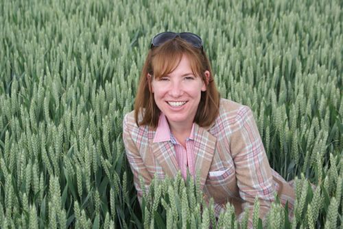 Allison Grundy welcomes the SNS project validation of the GrowHow N-Min nitrogen prediction service.