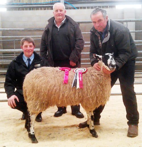 Richard Ellis is pictured with the charity lamb show champion, joined by judges Angus Dean, left, and David Watson.