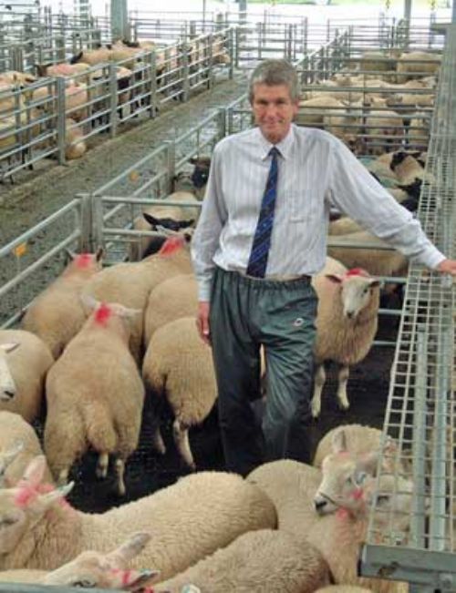 Halls’ chairman Peter Willcock optimistic about business prospects in 2012