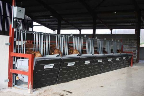 Cattle unit, Wold Farm