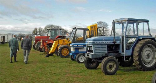 Some of the lots lined up for Stone sale on Friday