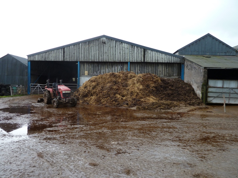 Open manure store before new roof added