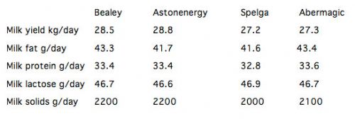 Second year results