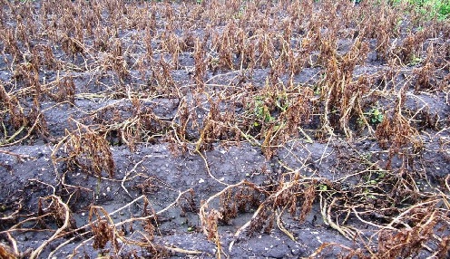 Housing jobs west yorkshire Housing jobs west yorkshire