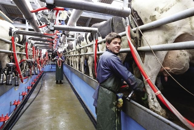 Dilwyn and Geraint (right) Jenkins in the milking parlour at Cerrigcaranau, Talybont, near Aberystwyth.